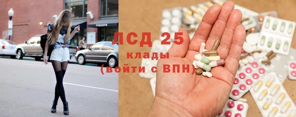прущие грибы Балабаново