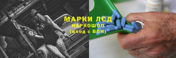 a pvp Аркадак