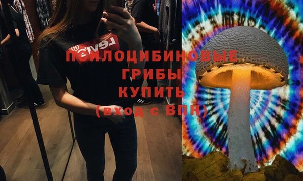 амф Арсеньев