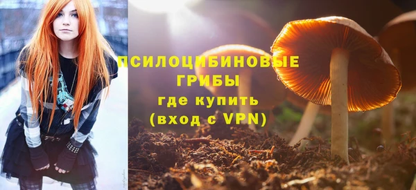 амф Арсеньев