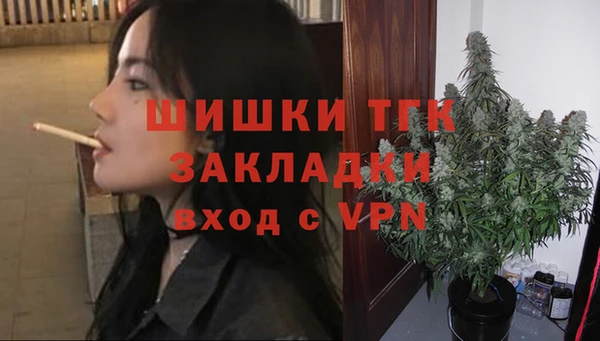 a pvp Аркадак
