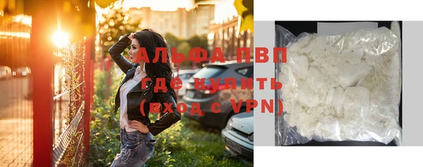a pvp Аркадак