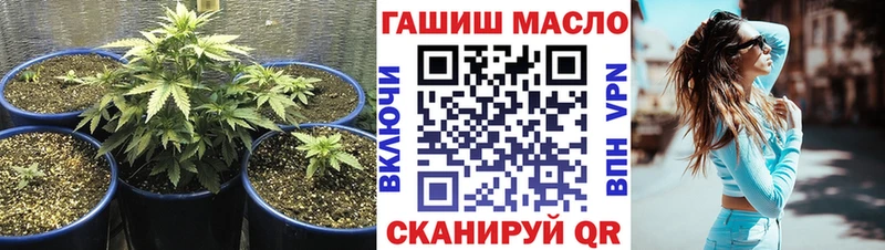 Купить где  Сельцо  Дистиллят ТГК вейп с тгк 