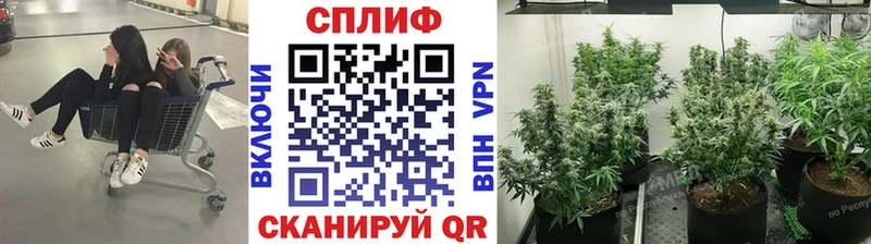 Каннабис Amnesia  Купить закладки  Сельцо 